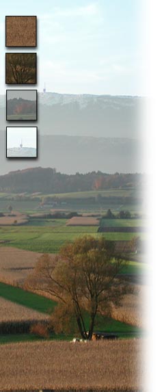 portes.jpg